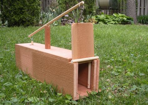 homemade rabbit box trap plans